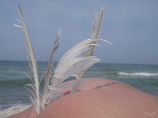 Wszystkie foto konkursy NNS